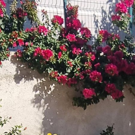 Vila Megi-Rent Room Avlonya Dış mekan fotoğraf
