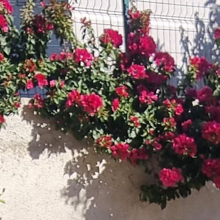 Vila Megi-Rent Room Avlonya Dış mekan fotoğraf