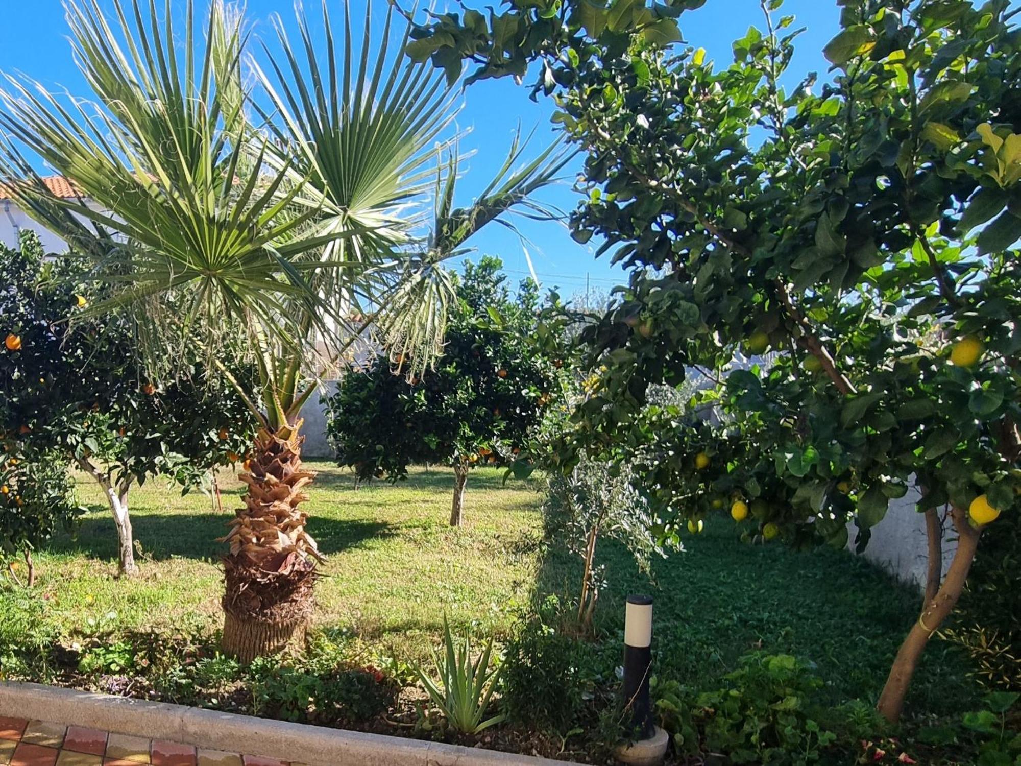 Vila Megi-Rent Room Avlonya Dış mekan fotoğraf